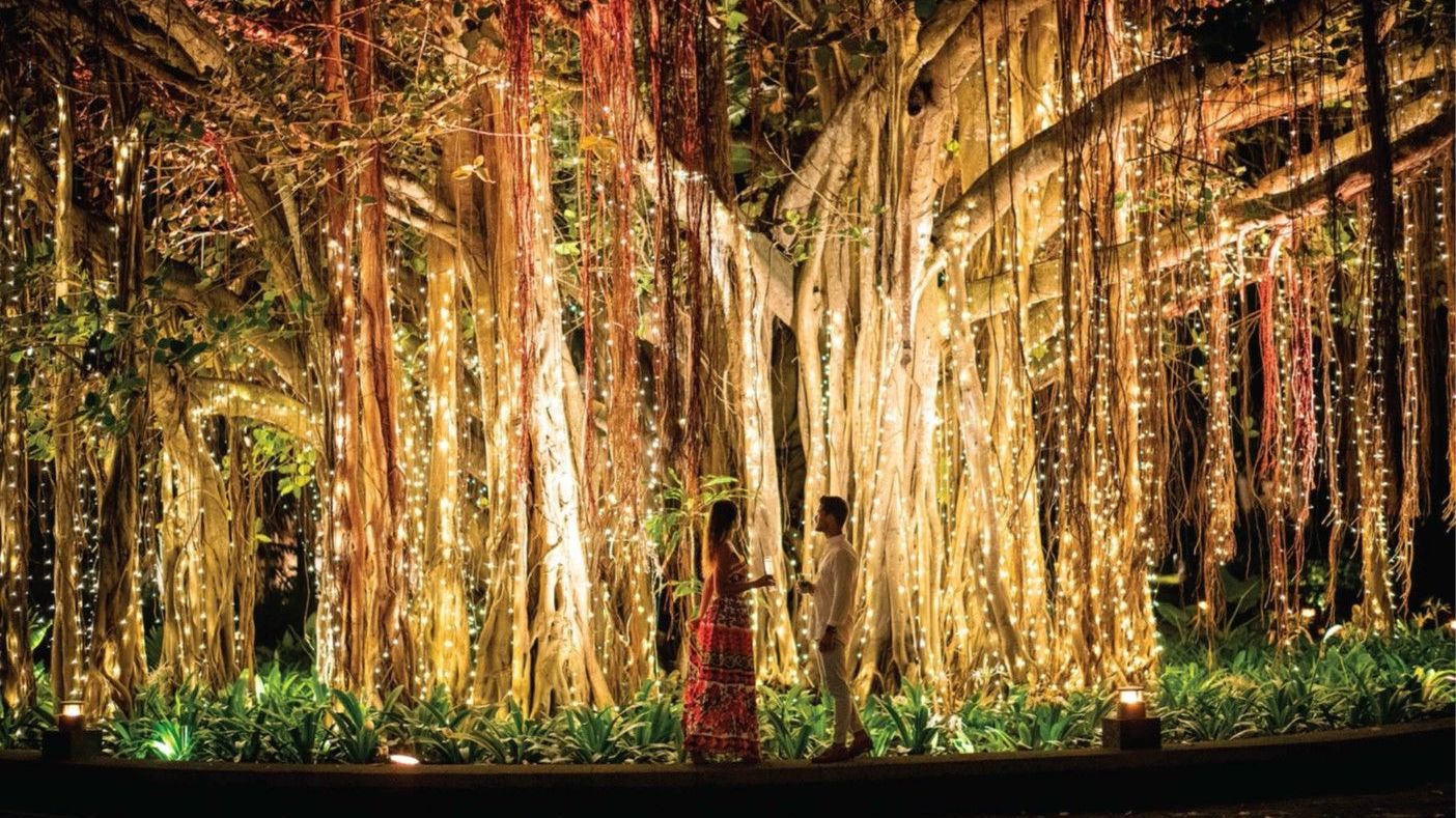 Christmas Lighting Ceremony at Shangri-La's Villingili Resort & Spa