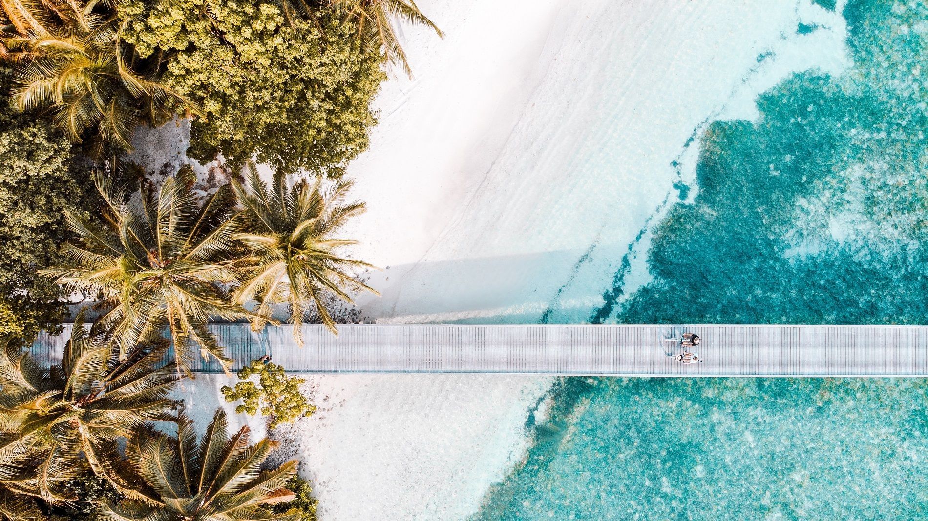 Advance purchase rate Festive season Shangri-la Villingili's Resort & Spa